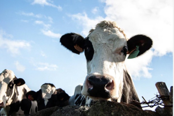 Lorem ipsum is placeholder text commonly used in the graphic